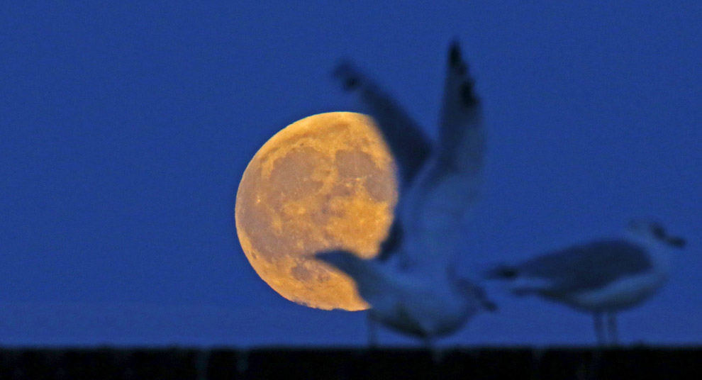 Кровавая Луна