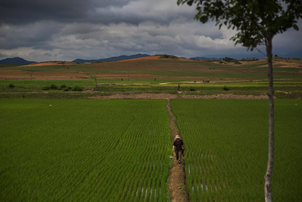 Северная Корея: редкий фоторепортаж из провинции