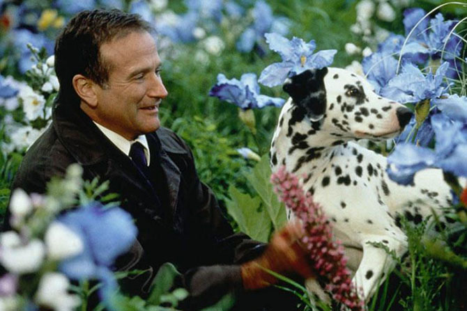 Интересные факты о фильме «Куда приводят мечты» Интересные факты о фильме «Куда приводят мечты»