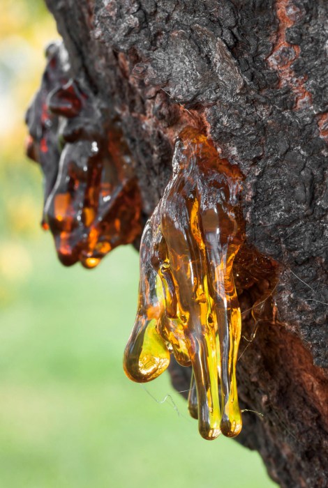 Использование майонеза в быту