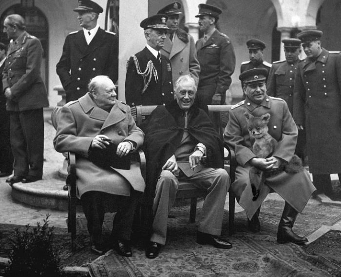 Лучшее чучело лисы