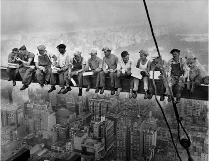 Лучшее чучело лисы