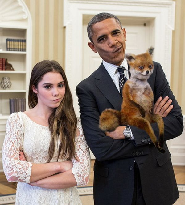 Лучшее чучело лисы