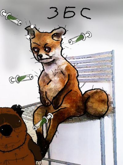 Лучшее чучело лисы