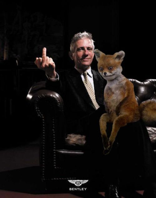 Лучшее чучело лисы