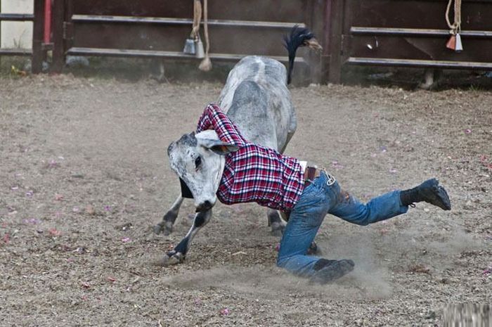 Показалось (41 фото)