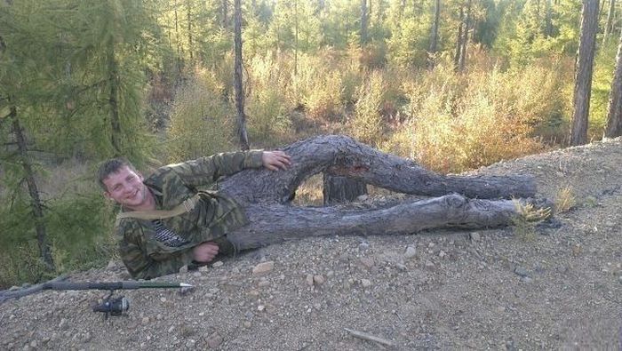 Показалось (41 фото)