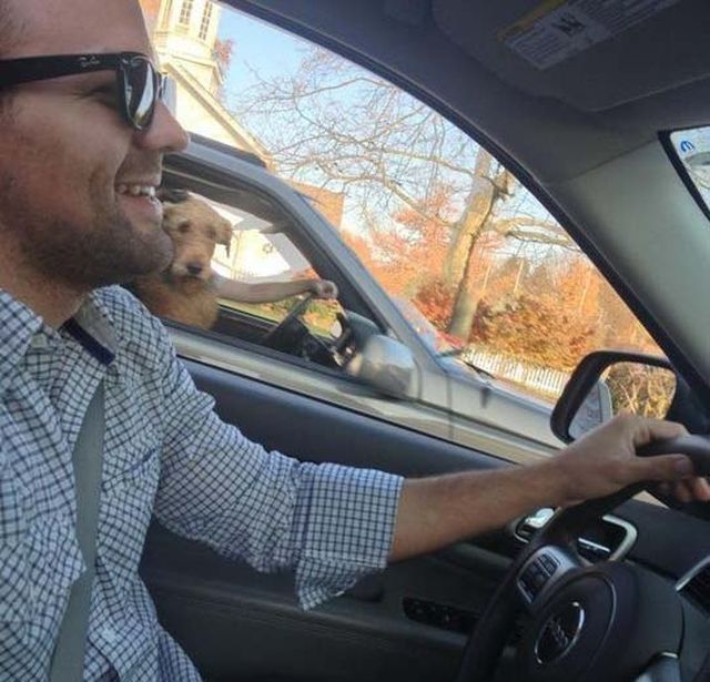 Показалось (41 фото)