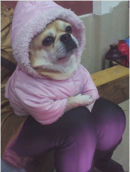 Показалось (41 фото)