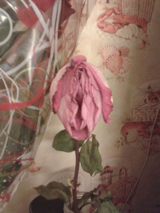 Показалось (41 фото)