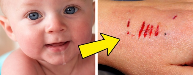 Ученым всегда есть чем удивить. Они рассказали об этих 11 вещах то, что мы никак не ожидали услышать