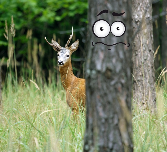 Ученым всегда есть чем удивить. Они рассказали об этих 11 вещах то, что мы никак не ожидали услышать