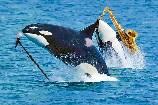 Ученым всегда есть чем удивить. Они рассказали об этих 11 вещах то, что мы никак не ожидали услышать