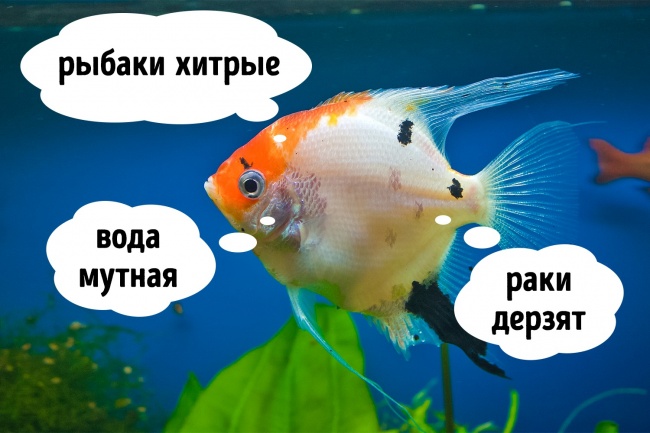 Ученым всегда есть чем удивить. Они рассказали об этих 11 вещах то, что мы никак не ожидали услышать
