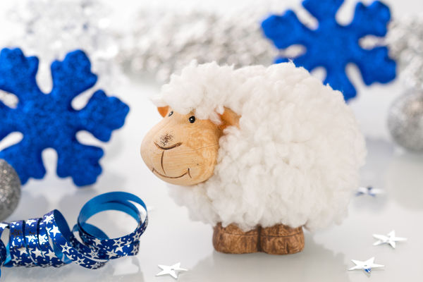 Встречаем Новый год по правилам