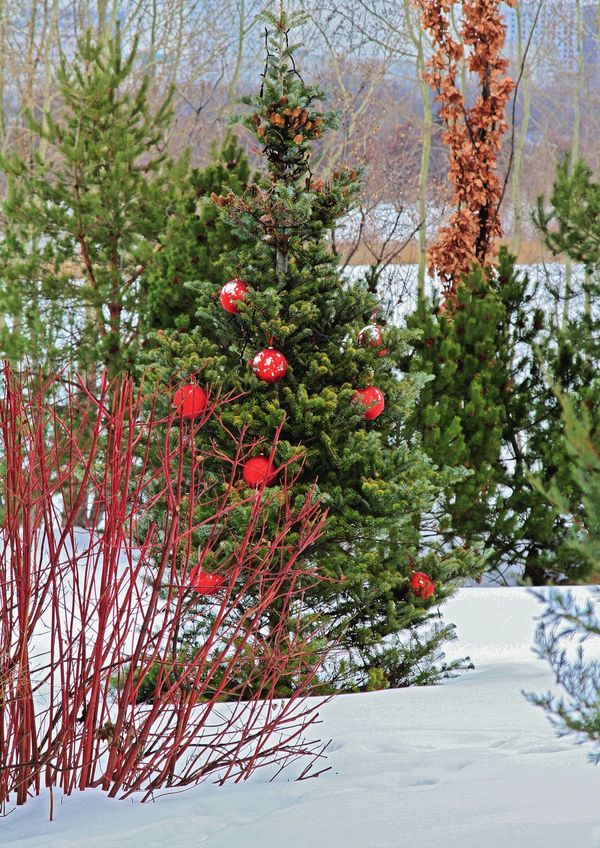 Встречаем Новый год по правилам