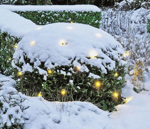 Встречаем Новый год по правилам