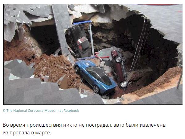 Самые странные новости уходящего года