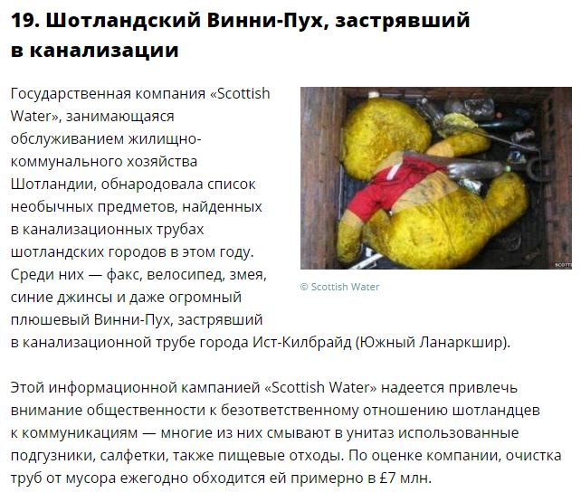 Самые странные новости уходящего года