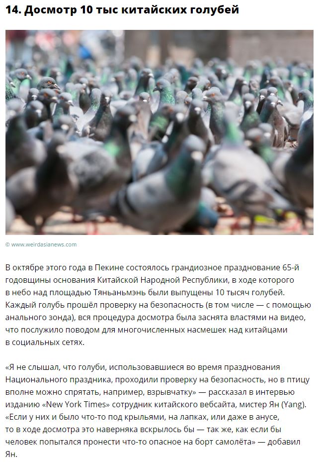 Самые странные новости уходящего года