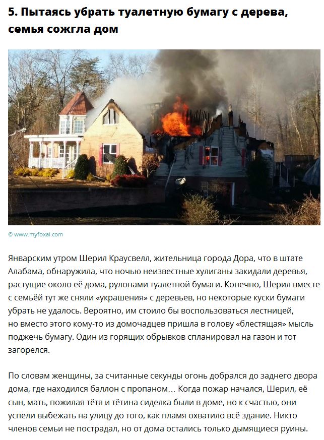 Самые странные новости уходящего года