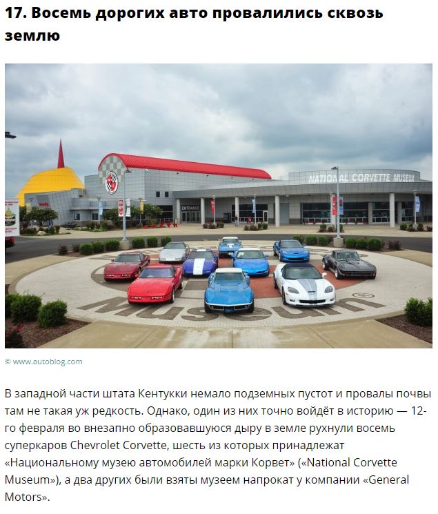 Самые странные новости уходящего года