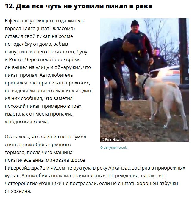 Самые странные новости уходящего года