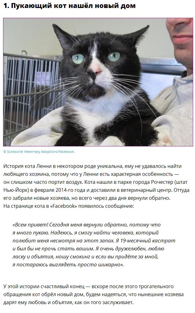 Самые странные новости уходящего года