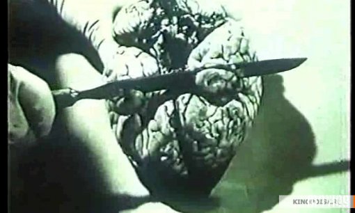 Топ-20 Самых шокирующих, тошнотворных и запрещенных фильмов: