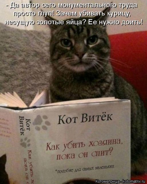 Лучшие котоматрицы недели