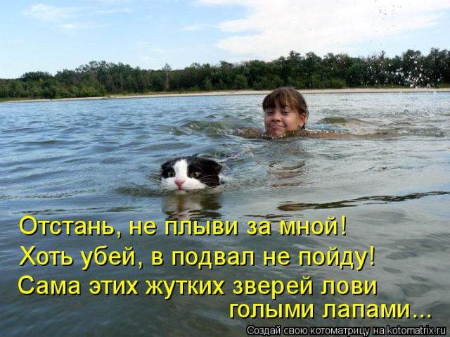 Лучшие котоматрицы недели