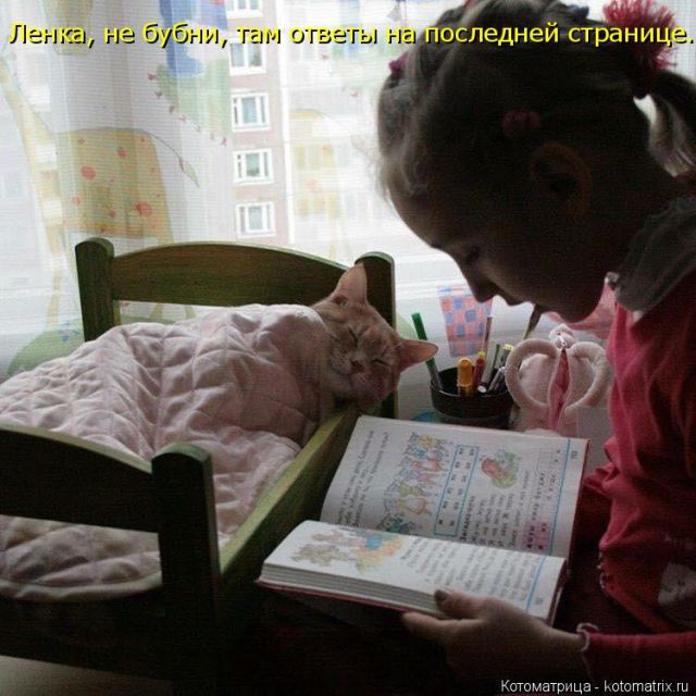 Лучшие котоматрицы недели