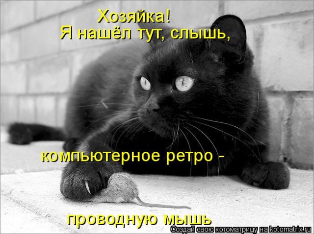 Лучшие котоматрицы недели