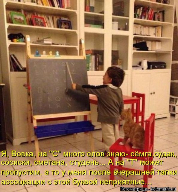 Лучшие котоматрицы недели