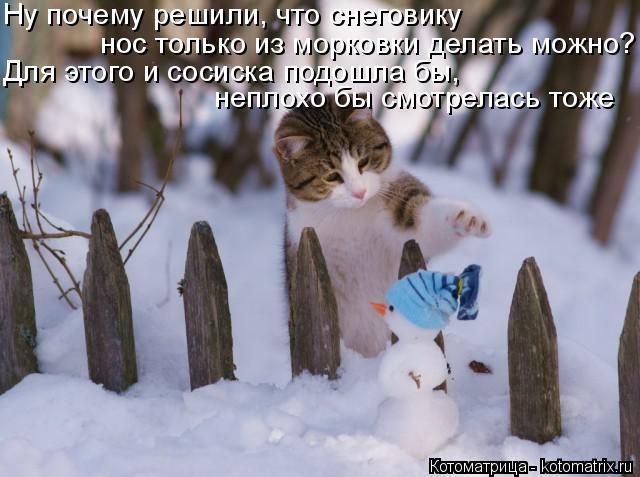 Лучшие котоматрицы недели