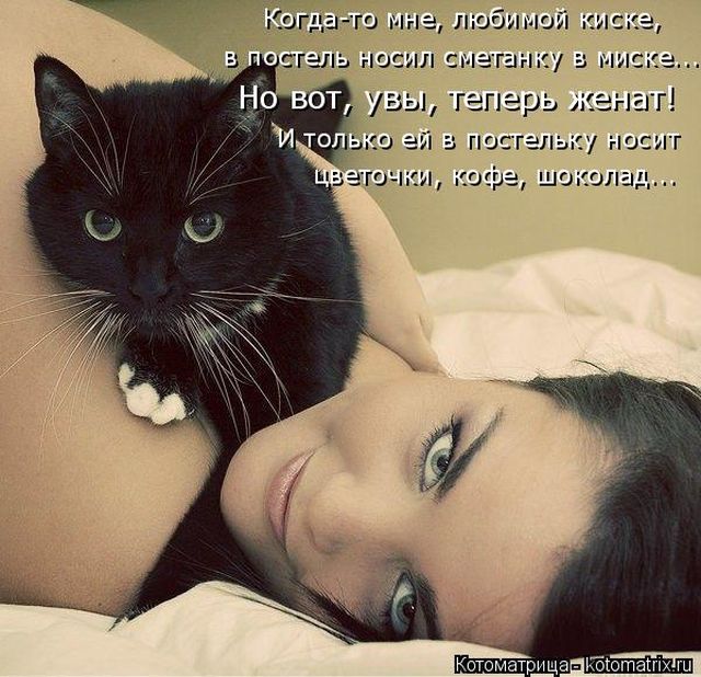 Лучшие котоматрицы недели