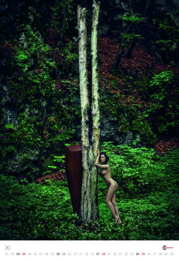 Эротический календарь польского производителя гробов