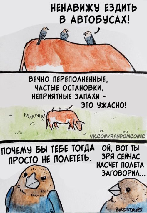 Смешные комиксы