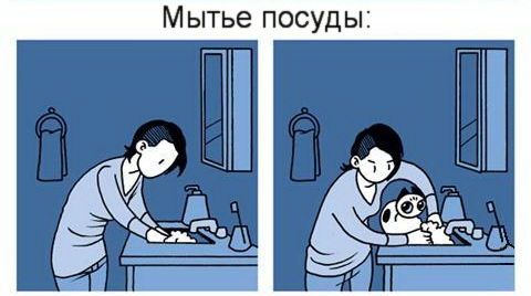 Что значит жить с котом