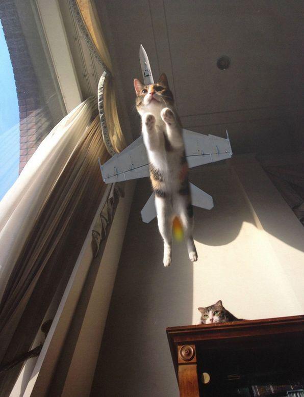 Прикольные картинки