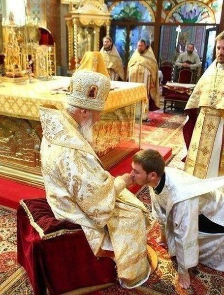 Прикольные картинки