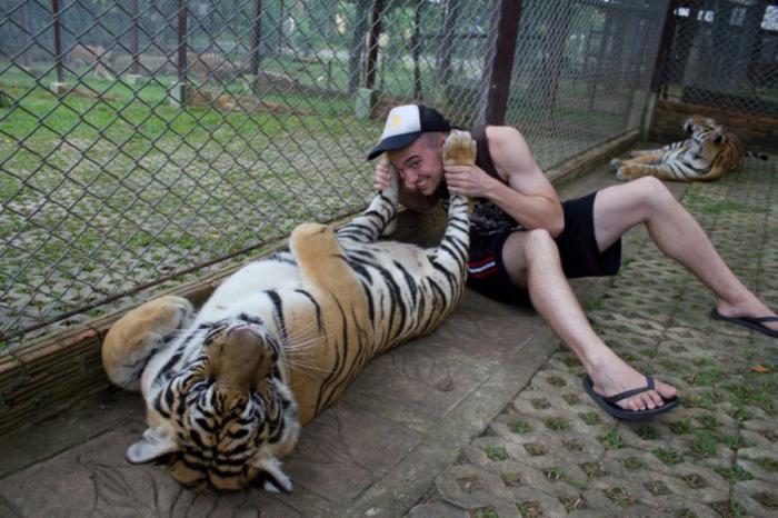 Прикольные картинки