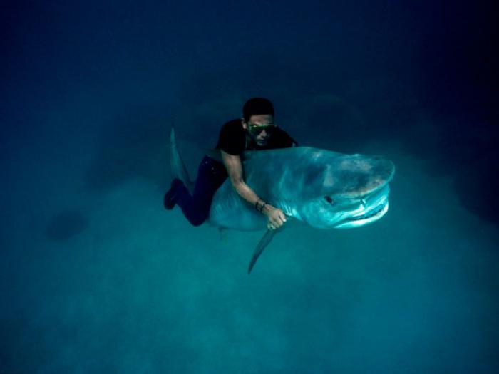 Прикольные картинки