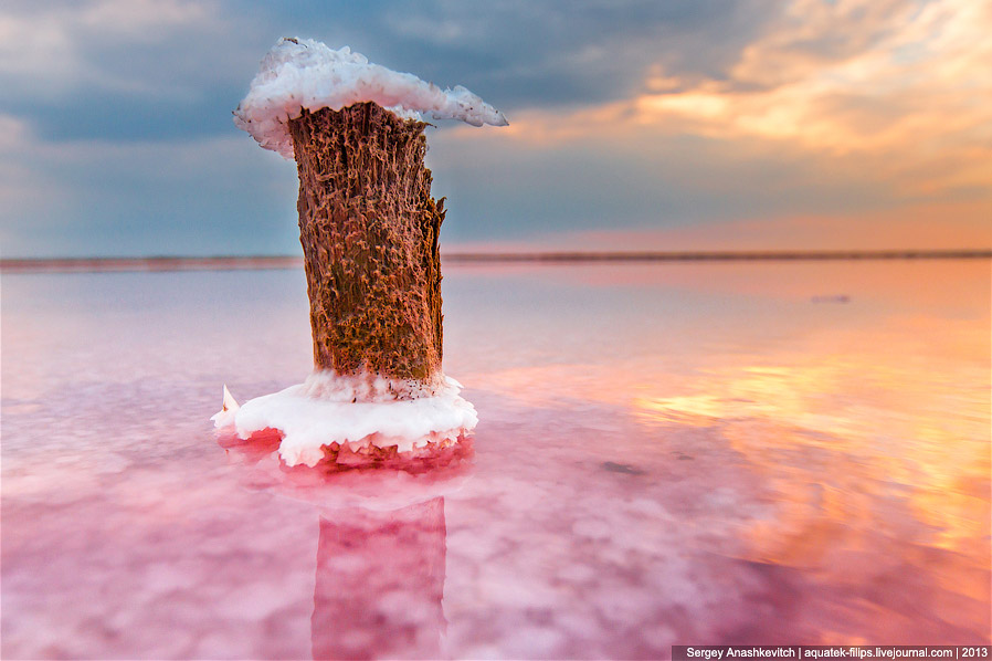 Соляные цветы в Крыму
