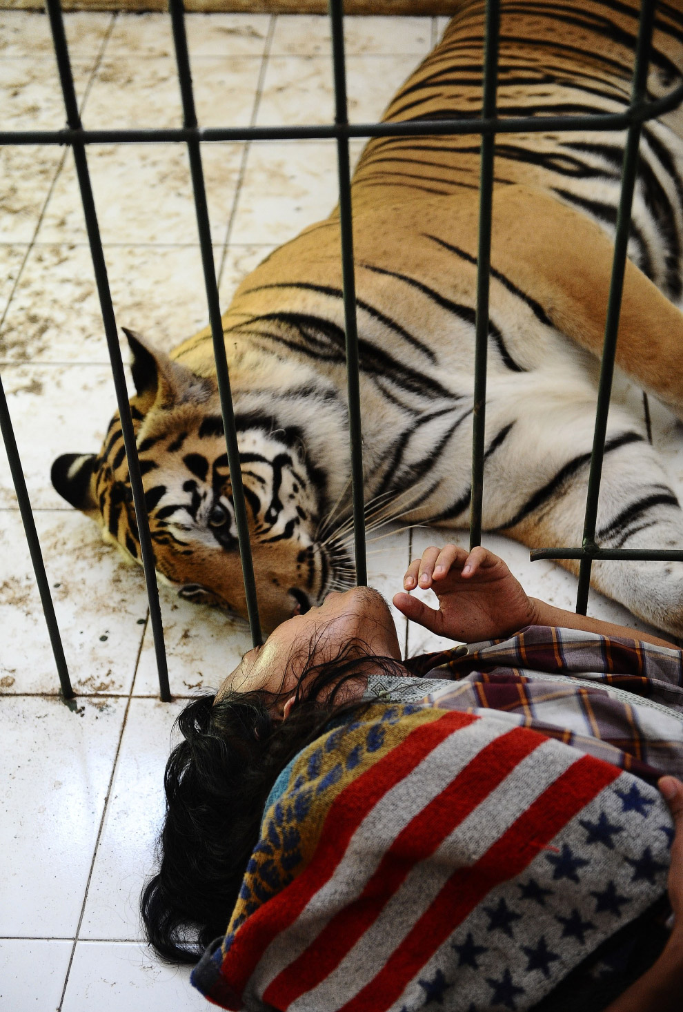 Настоящая дружба Настоящая дружба