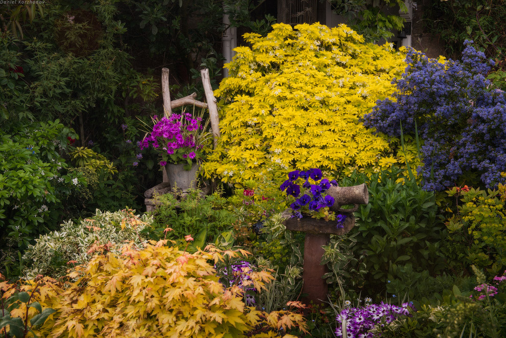 Путешествие по Шотландии Путешествие по Шотландии