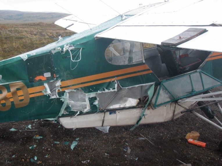 Медведь напал на самолет (6 фото)