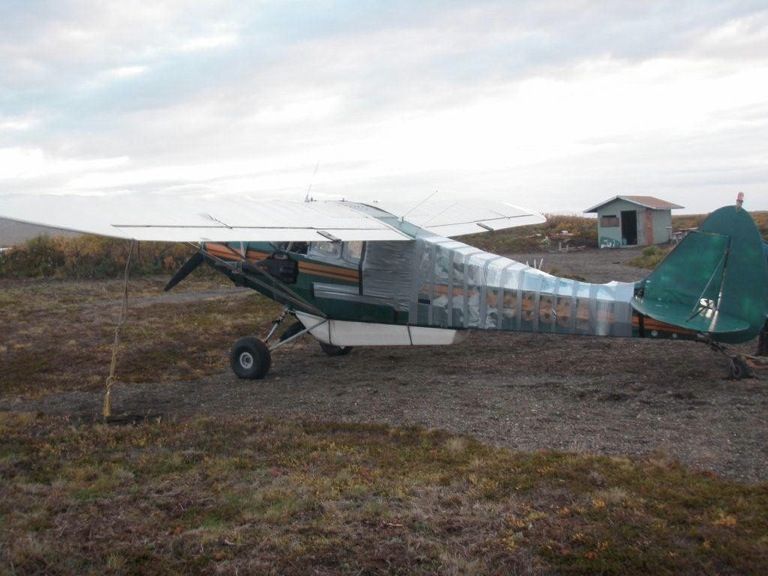 Медведь напал на самолет (6 фото)