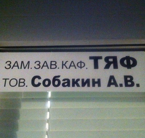 Прикольные картинки (78 фото)