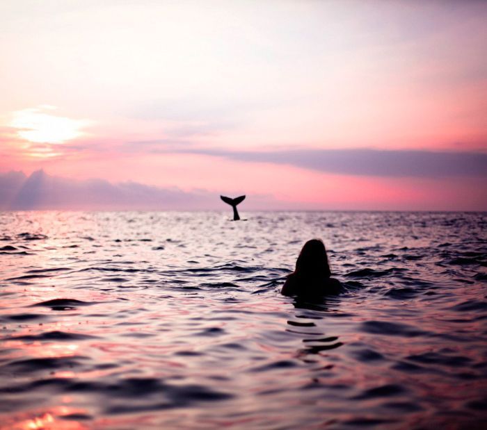 Прикольные картинки (78 фото)